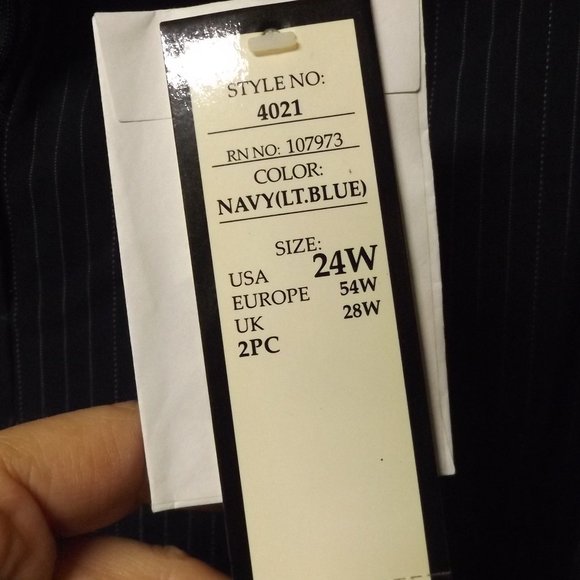 PINSTRIPED, DRESS PANTS, NAVY BLUE, TAG SAYS 24w - Picture 3 of 3